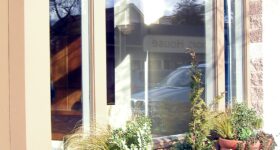 Storefront windows with plants in front